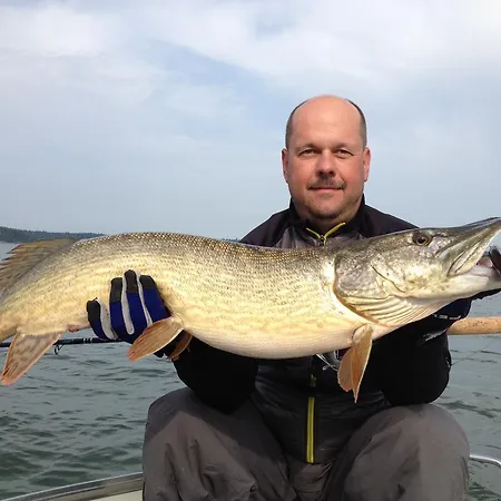 Вилла Finnoe Stugby *