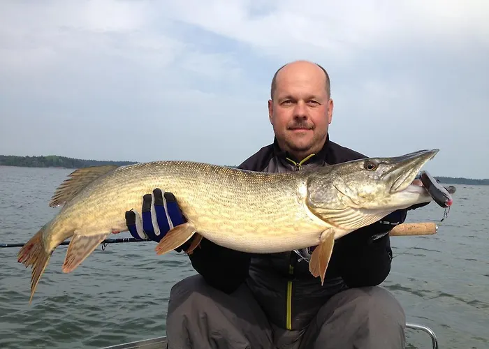 Villa Finnoe Stugby *